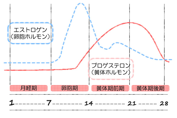 ミーモ【meemo】ゼリーのバストアップへの効果　グラフ